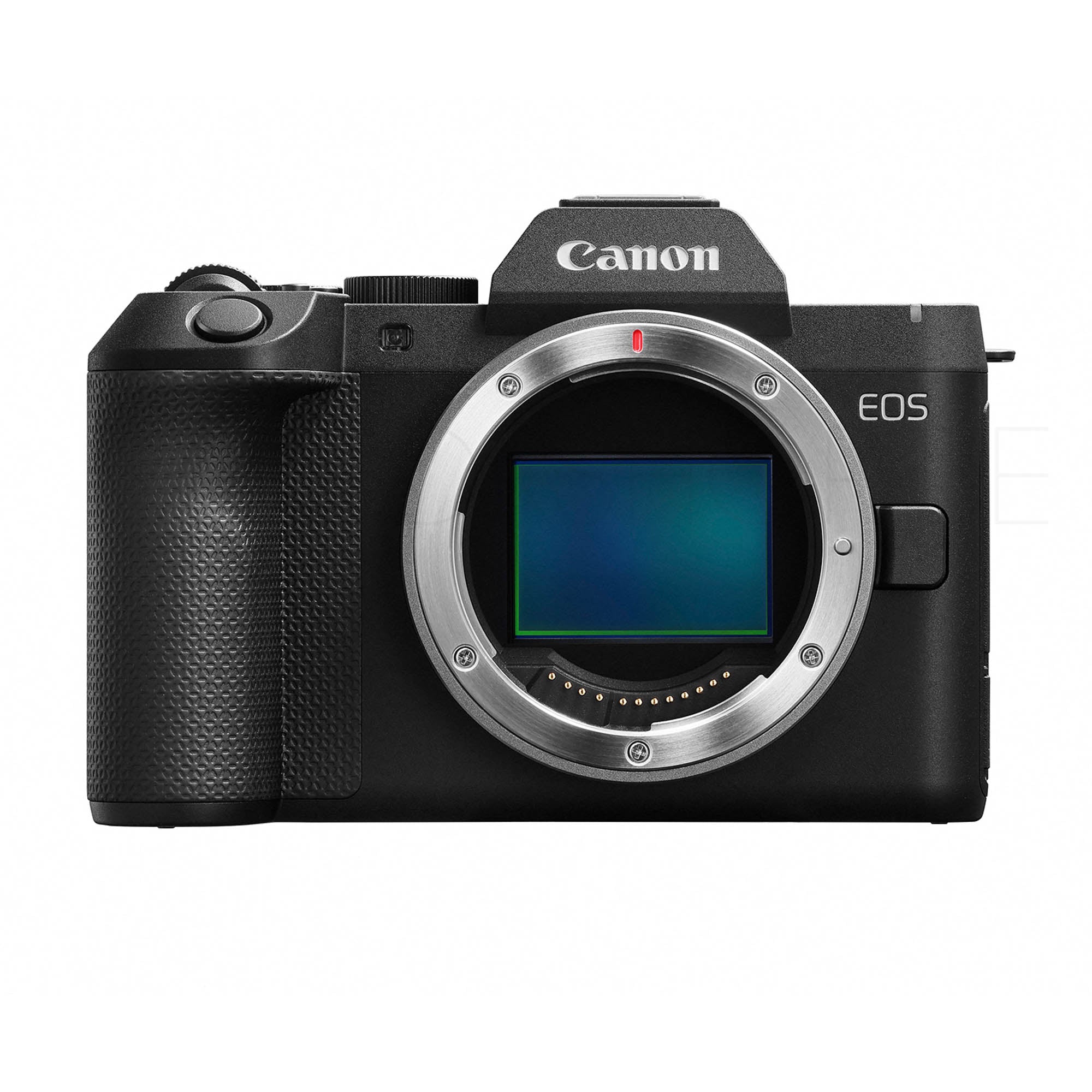 Canon EOS R8 Mark II + RF 24-105mm F4-7.1 IS STM
