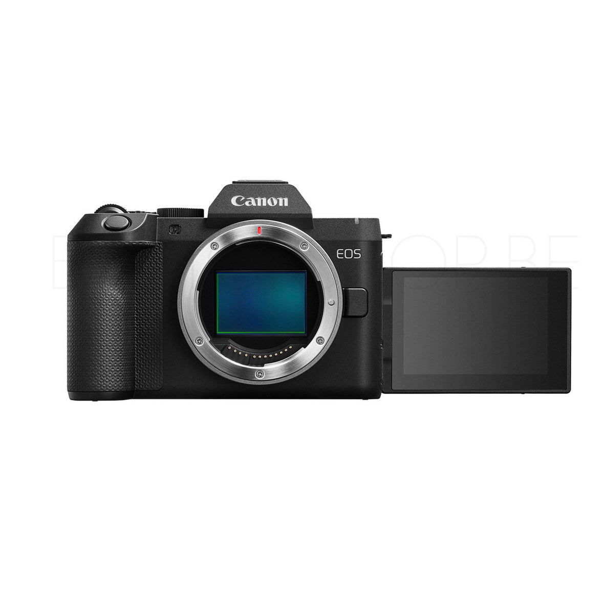 Canon EOS R8 Mark II + RF 24-105mm F4-7.1 IS STM
