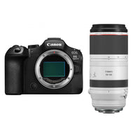 Canon EOS R6 Mark III + RF 100-500mm F4.5-7.1 L IS USM