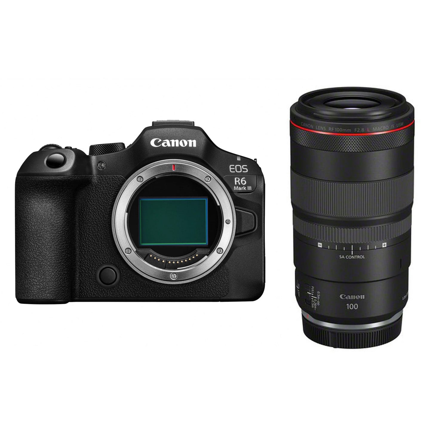 Canon EOS R6 Mark III + RF 100mm F2.8 L MACRO IS USM
