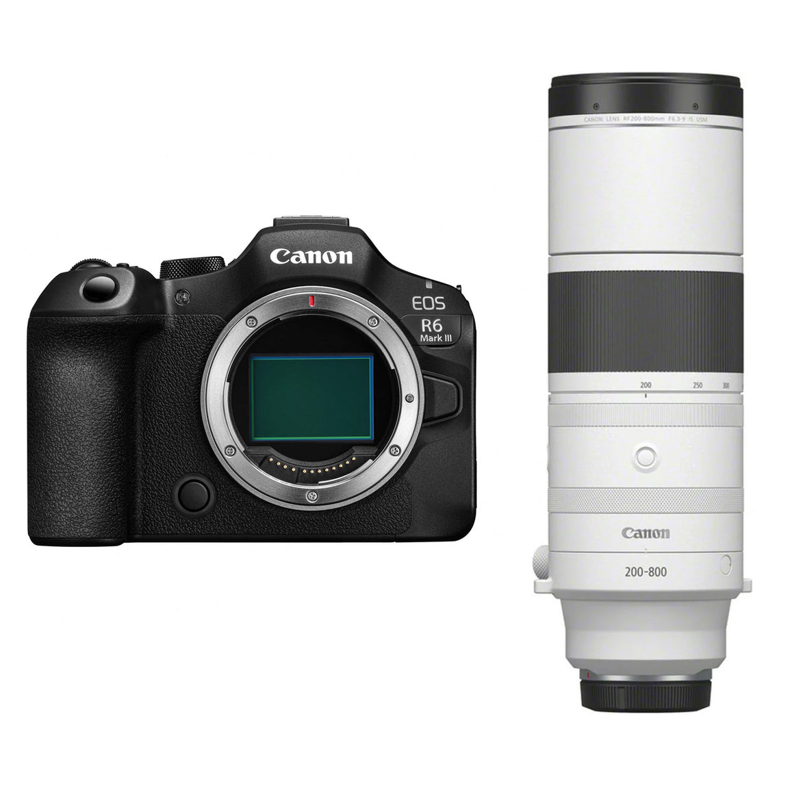 Canon EOS R6 Mark III + RF 200-800mm F6.3-9 IS USM