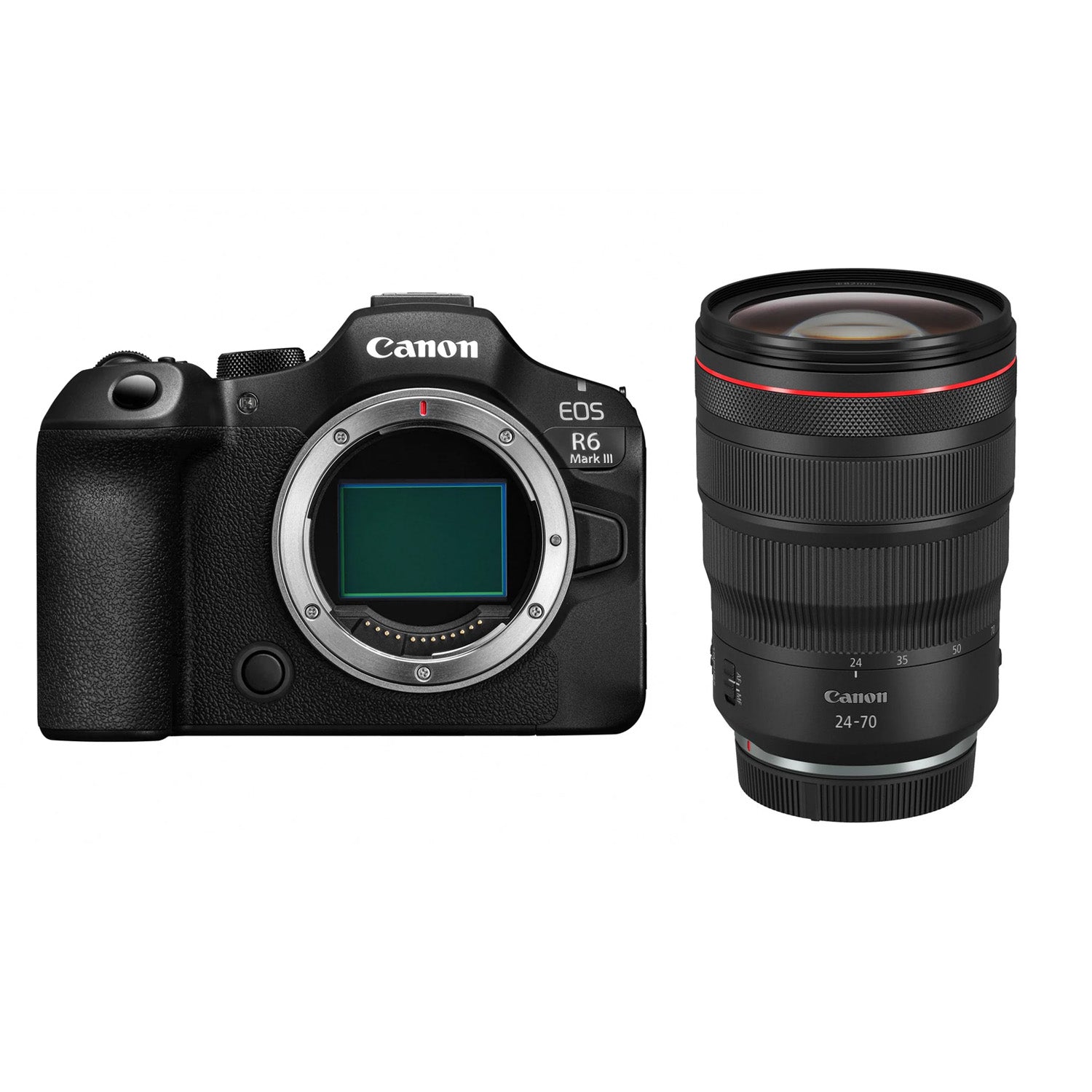 Canon EOS R6 Mark III + RF 24-70mm F2.8 L IS USM