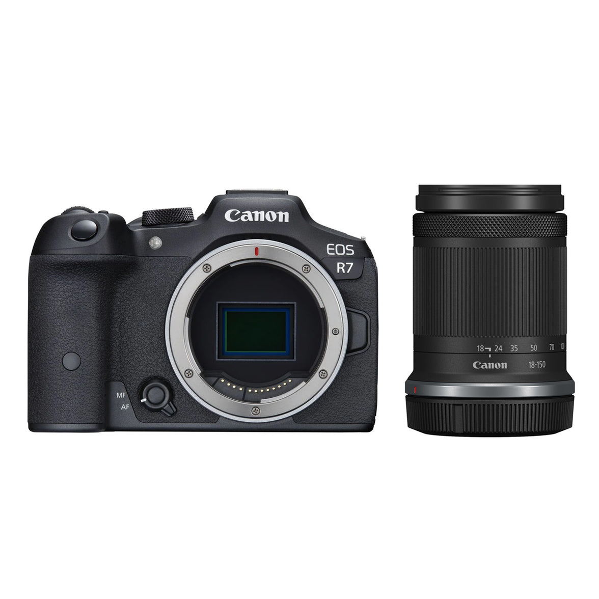 Canon EOS R7 + RF-S 18-150mm IS STM