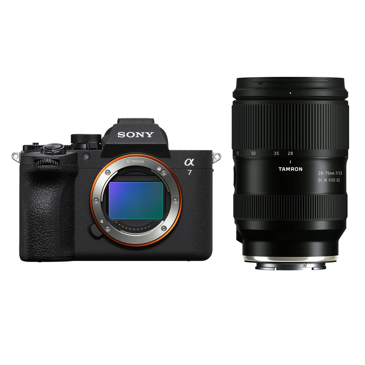 Sony A7 V + Tamron 28-75mm F2.8 DI III VXD G2 Sony FE