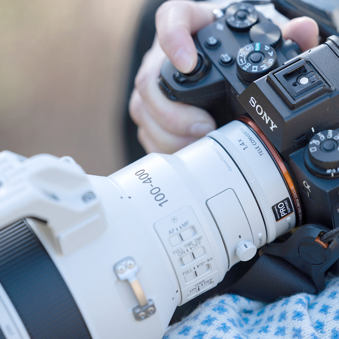Sony SEL FE 100-400mm f4.5 GM OSS