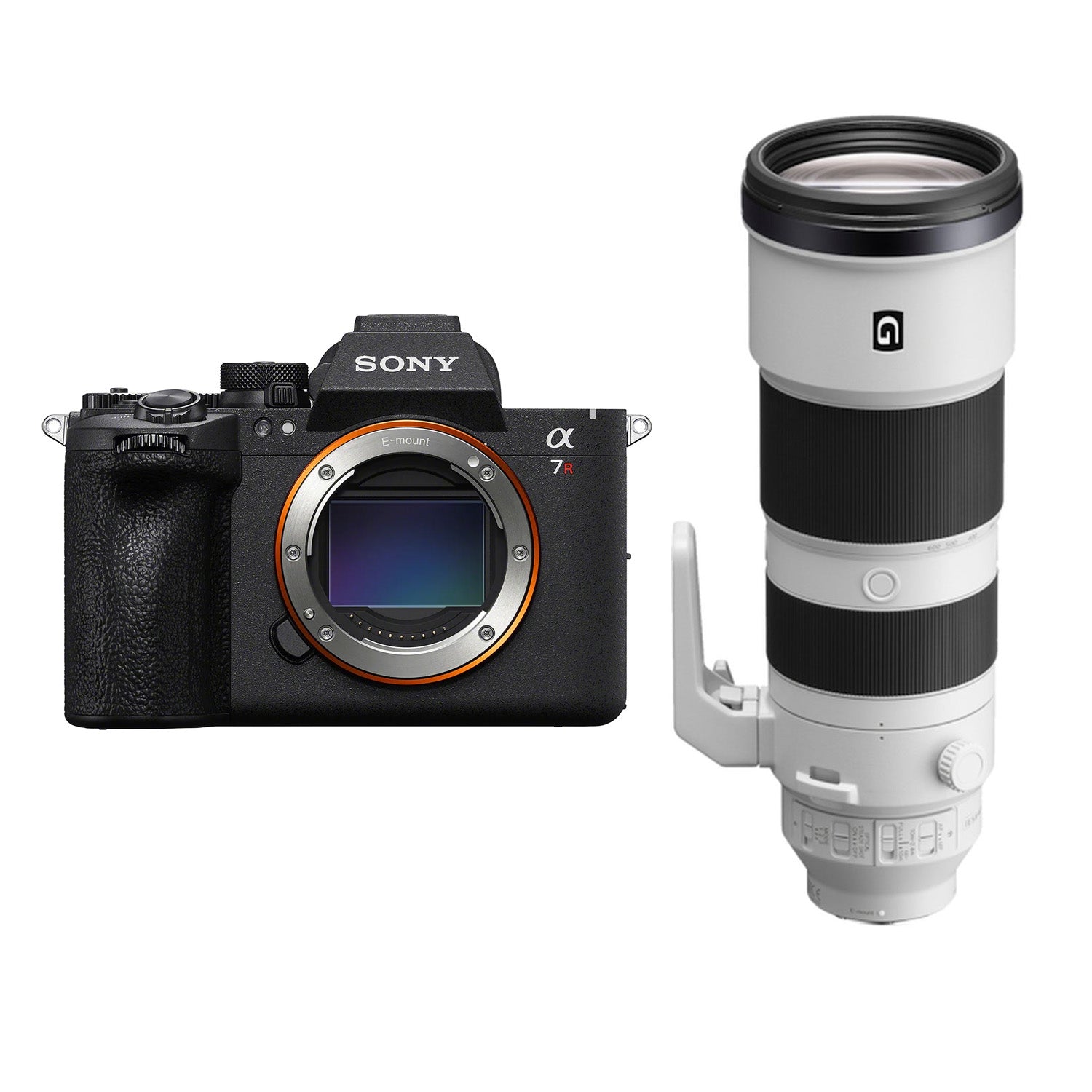 Sony A7R VI + FE 200-600mm f/5.6-6.3 G OSS + 2de Sony NP-SA100
