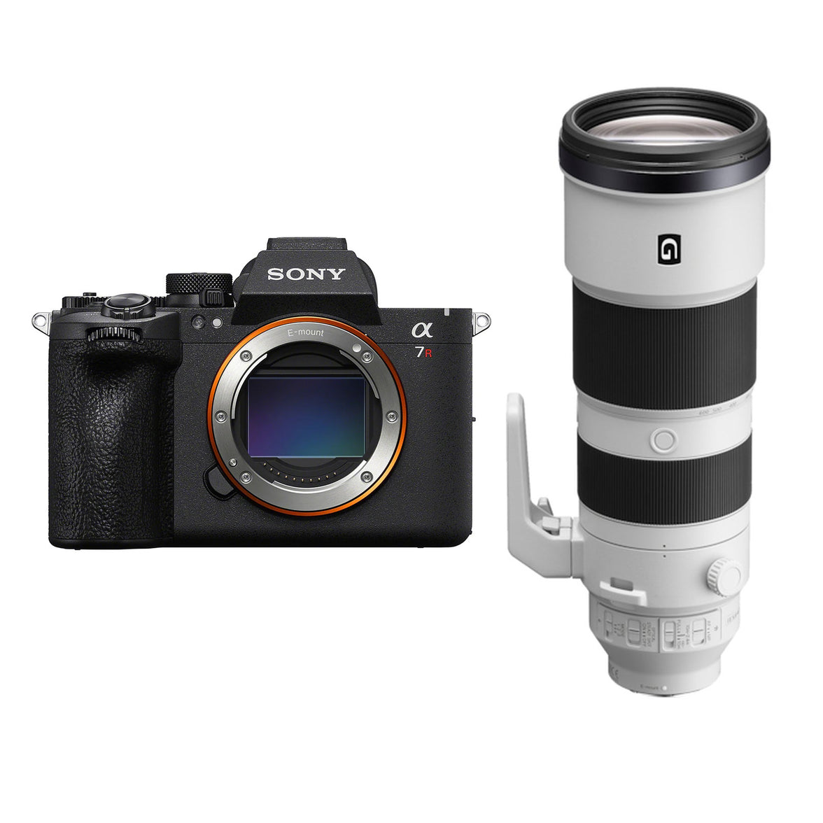Sony A7R VI + FE 200-600mm f/5.6-6.3 G OSS + 2de Sony NP-SA100