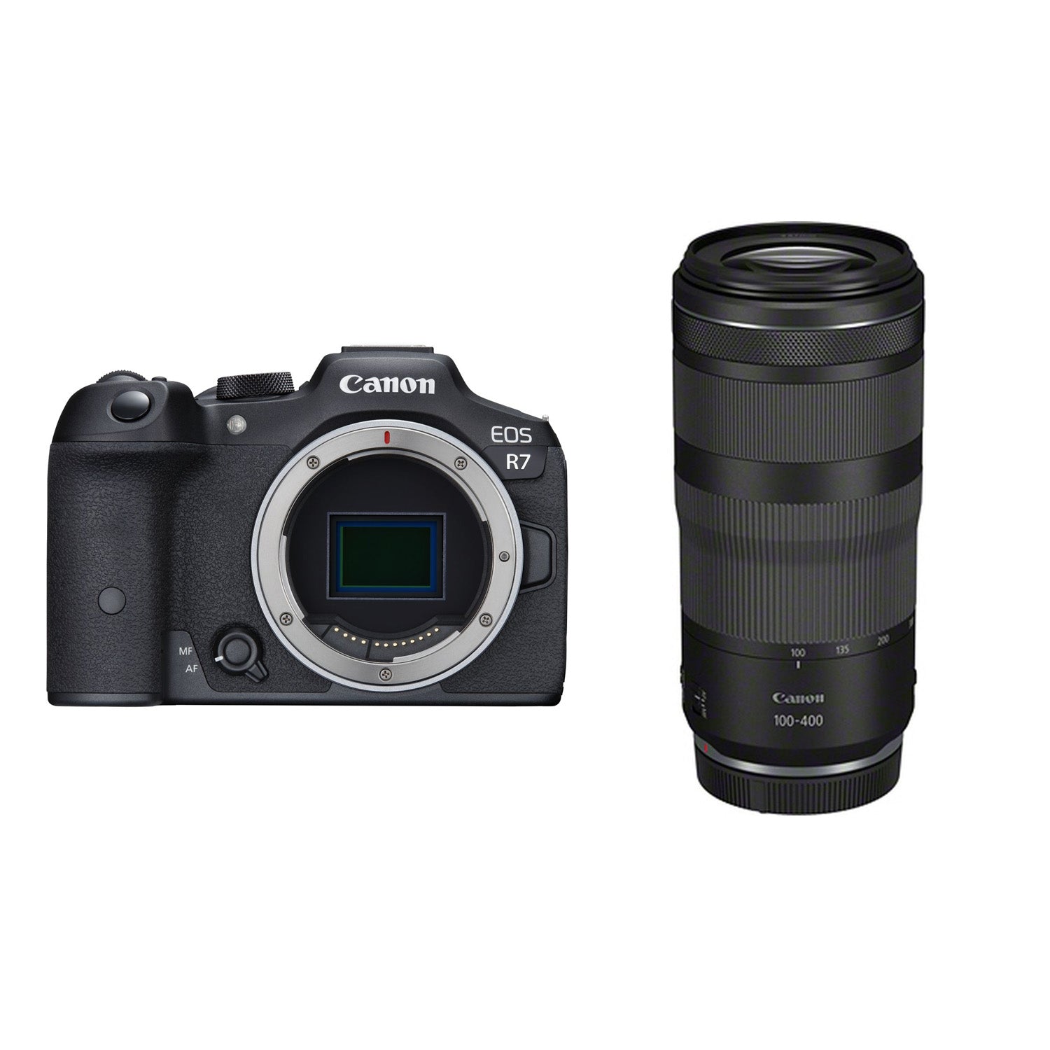 Canon EOS R7 + RF 100-400mm F5.6-8 IS USM