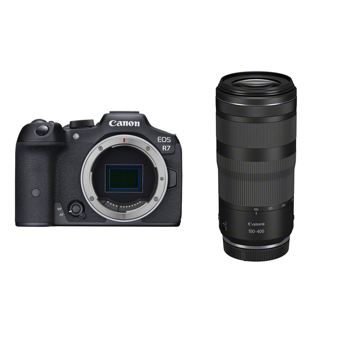 Canon EOS R7 + RF 100-400mm F5.6-8 IS USM